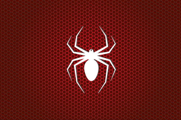 거미(동물).jpg