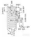 2024년 10월 11일 (금) 13:57 판의 섬네일